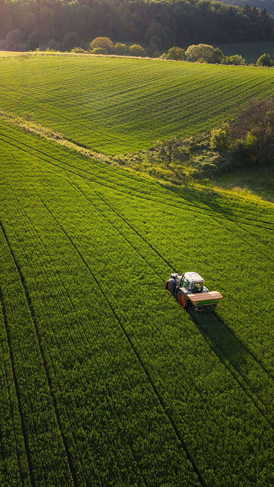 Ein blauer Traktor fährt im Sonnenlicht durch ein üppiges grünes Feld und hinterlässt parallele Spuren in den Pflanzen, während im Hintergrund Bäume und sanfte Hügel zu sehen sind.